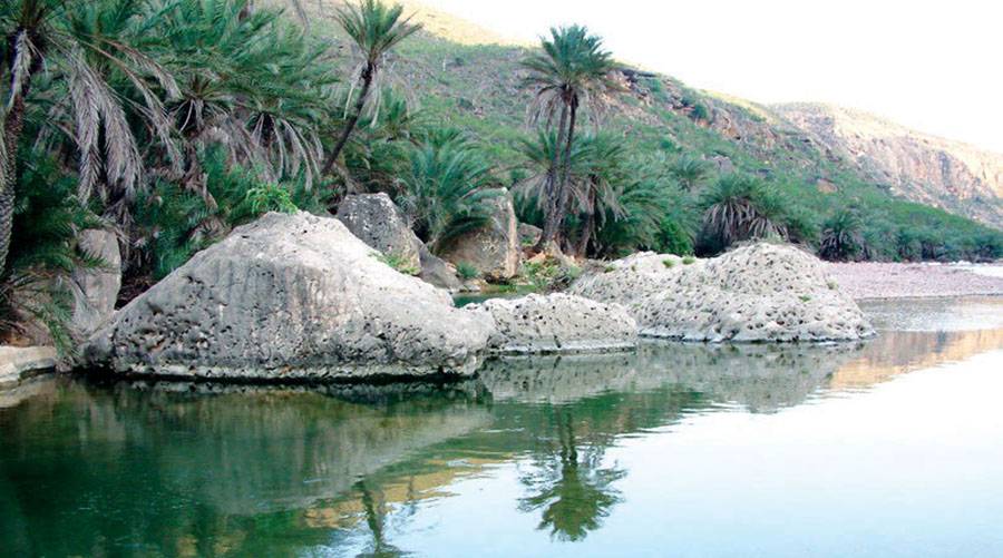 الخطر القادم من جهة البحر